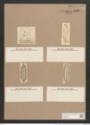 Navicula iridis var. amphirgomphus Ehrenb. (de-Toni-Nr.: Genus 1, Species 552) Zeichnungen Sammlung Grunow Nr. 1100 (NHMW-BOT-W0367664)